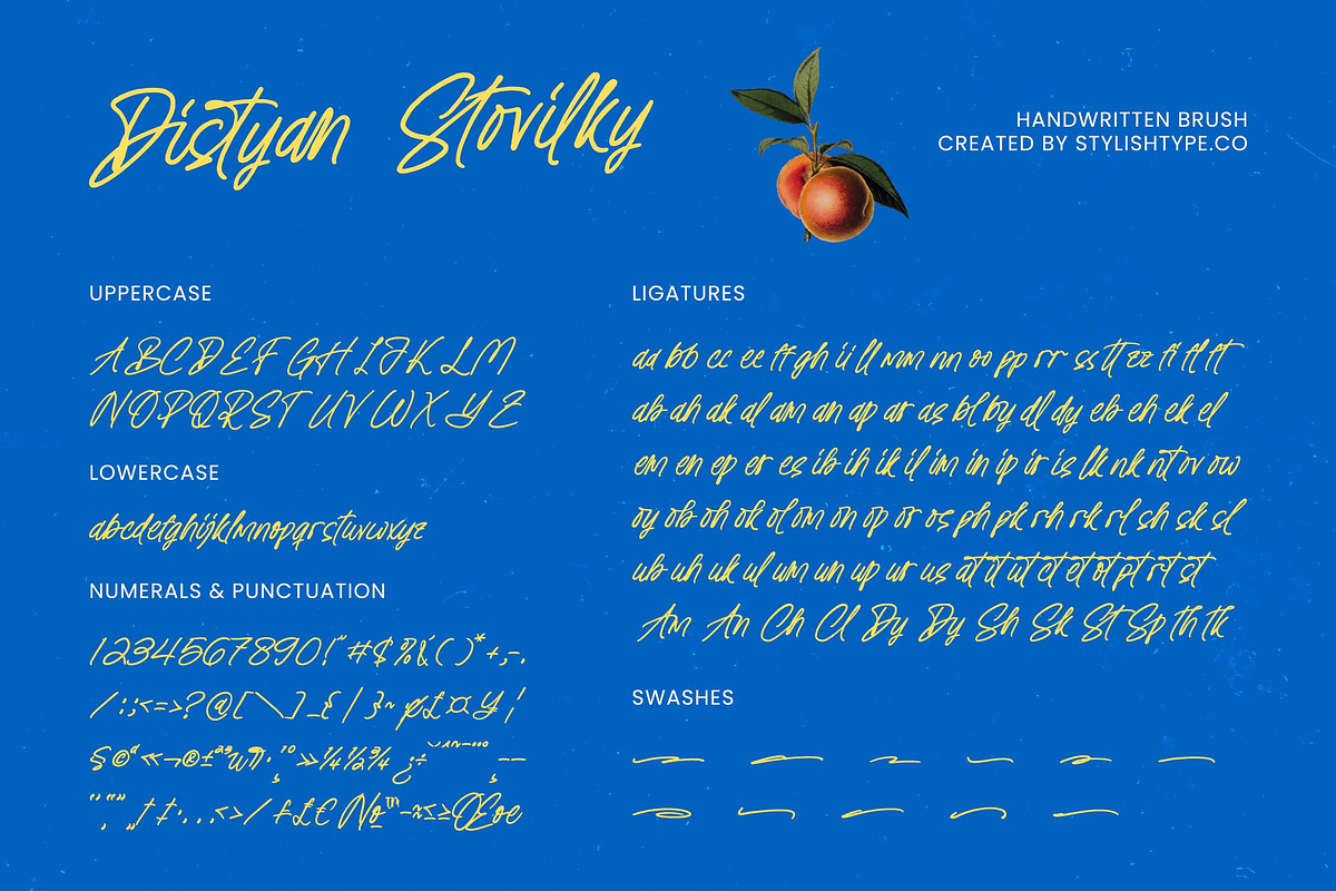 Distyan Stovilky Handwritten Brush, a Script Font by stylishtype.co (Photo 6 of 15)