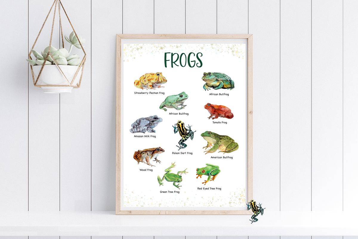 Frogs Watercolour Set, an Education Illustration by Tati Bordiu (Photo 2 of 5)