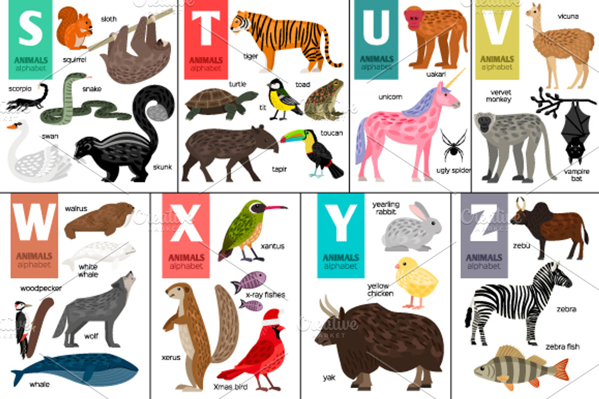 Alphabet with Animals, an Object Graphic by ianakauri (Photo 4 of 4)