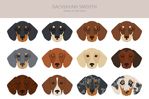 Dachshund Smooth Clipart