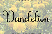 Dandelion, a Handwritten Font by FreshTypeINK (Thumbnail 1 of 8)