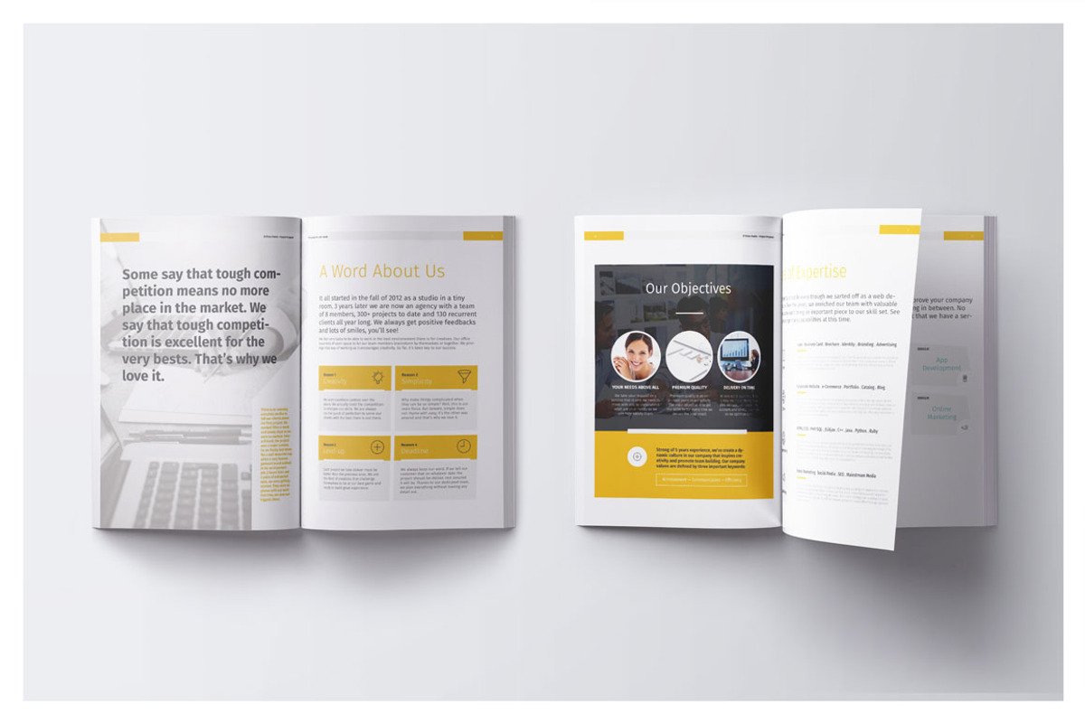 Project Proposal Agency & Studio preview 4