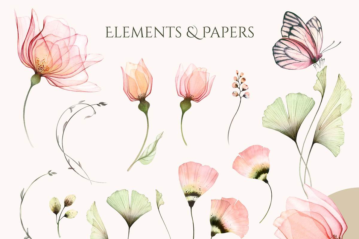 Transparent Blush Garden Watercolor, an Illustration by Akvarelldesign (Photo 7 of 10)