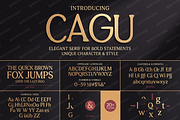 Cagu - Modern Luxury Serif Typeface, a Serif Font by Astuti Studio (Thumbnail 20 of 25)