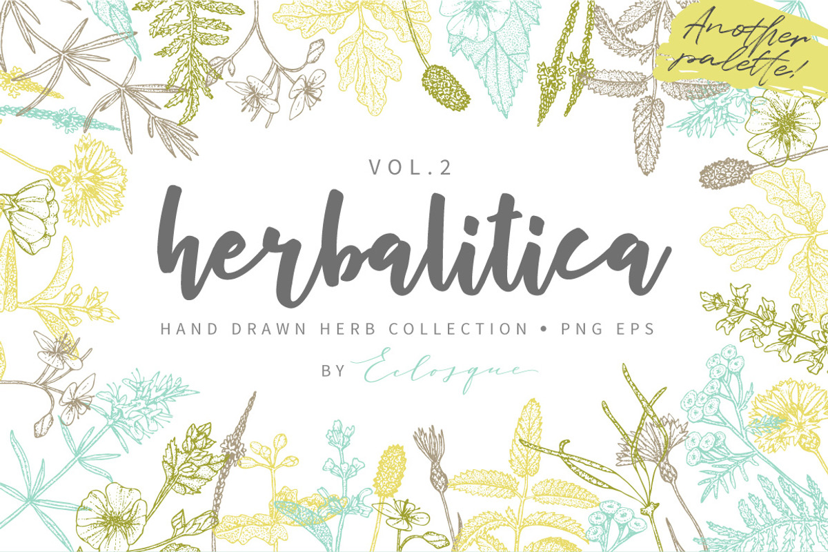 Herbalitica Vol.2 Flower Set, a Healthcare Illustration by eclosque (Photo 9 of 12)