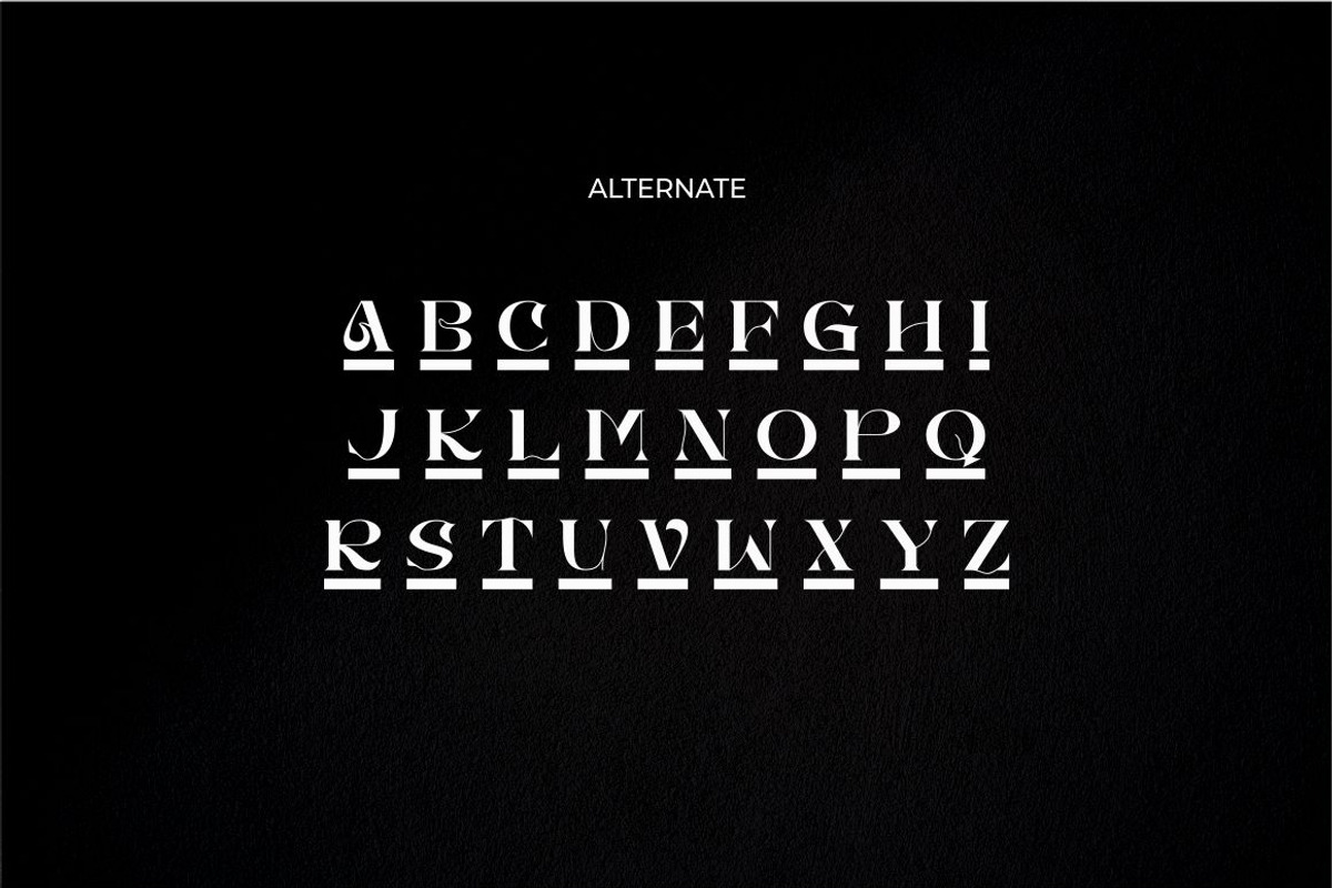 Brays unique display serif font, a Serif Font by suhadidesign (Photo 11 of 11)