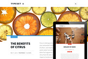 Typeset. A Magazine Blog & Portfolio, a WordPress Template by Courtyard Themes (Thumbnail 1 of 4)