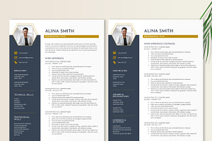 Resume Template Navy Gold