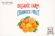 Summer Fruits, Hand-drawn PNG Bundle, an Object Graphic by GlitterCraft (Thumbnail 36 of 41)