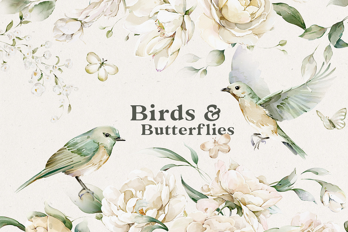 Watercolor White Flowers Collection, a Decorative Illustration by Damian Roh (Photo 10 of 16)