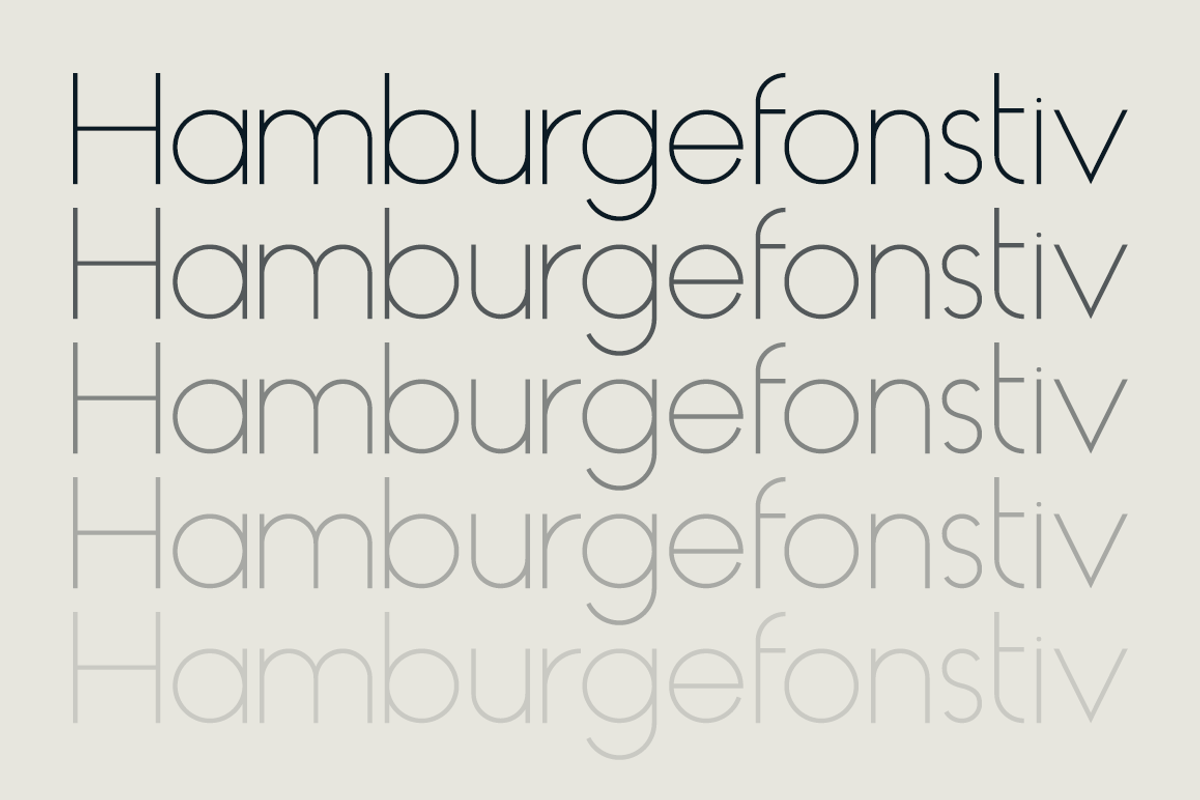 HAUS Sans Light preview 2