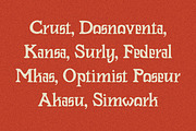 Rowdin Serif, a Serif Font by AROKA (Thumbnail 3 of 10)