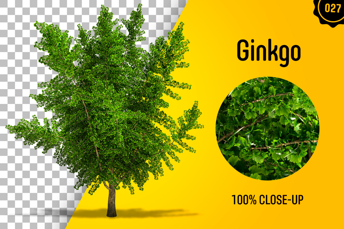 CUT OUT TREES - 60 PCS BUNDLE, a Packaging Mockup by 3DSTORE (Photo 28 of 63)