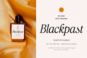 Praktive Serif Font, a Serif Font by Attract Studio (Thumbnail 6 of 12)