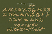 Delicate Starway, a Serif Font by Nathatype (Thumbnail 8 of 11)