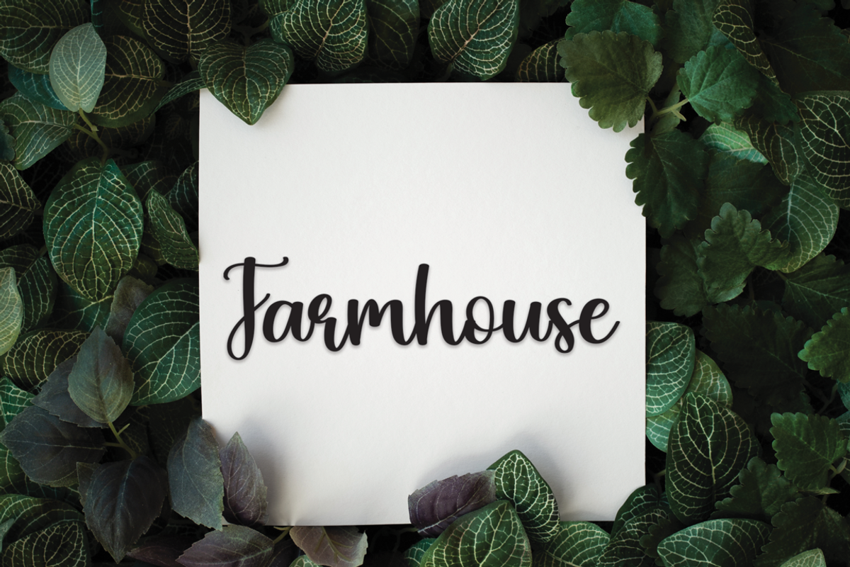 Summary | Script Font, a Serif Font by Scratchones (Photo 6 of 7)