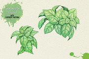 North American Herbs, a Food Illustration by Graphobia (Thumbnail 11 of 21)