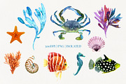 Marine Watercolor Clipart, an Animal Illustration by YarovaArt (Thumbnail 3 of 19)