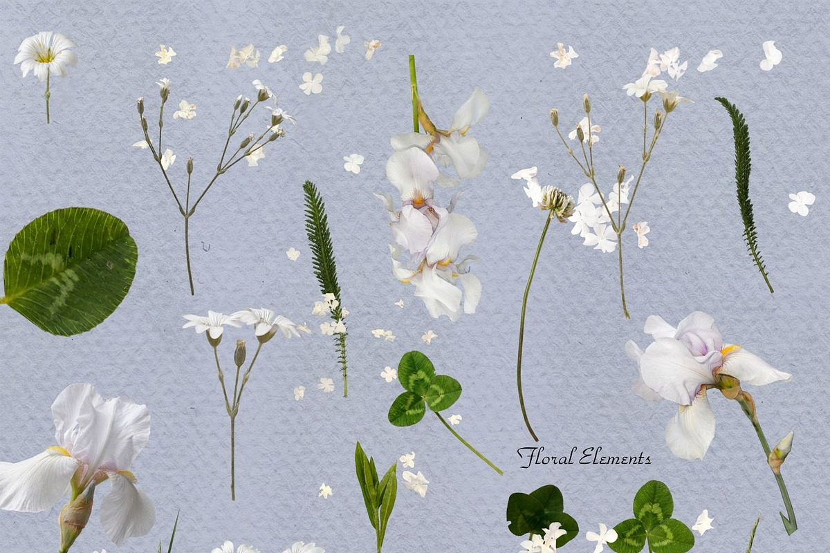 Garden Romance / Lace, floral, paper, an Object Graphic by Natali Batu (Photo 7 of 13)