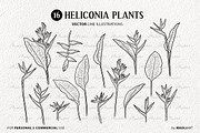 Heliconia Flower Vector Line Art, a Decorative Illustration by MadliArt (Thumbnail 3 of 4)