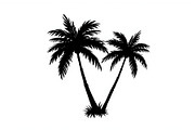 Summer Beach Palm Bundle, an Illustration by jahid234 (Thumbnail 14 of 21)