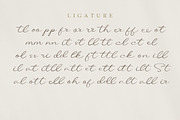 Agustus - Handwriting Font, a Handwritten Font by Mayofont (Thumbnail 9 of 9)