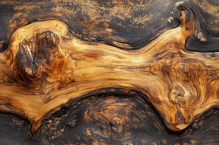 Intricate Wood Grain Abstract Textur, a Background Photo by Pixeness