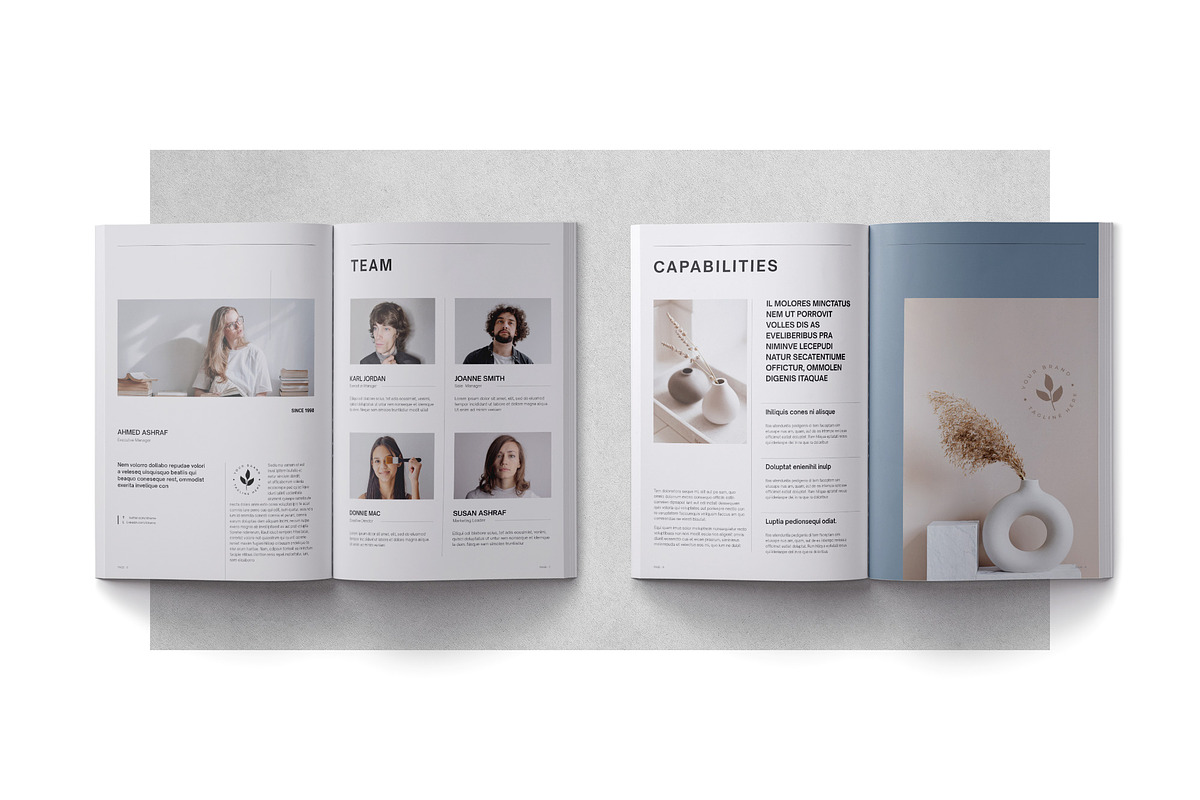 SONE / Proposal - Canva, a Brochure Template by BrochuresFactory (Photo 6 of 10)