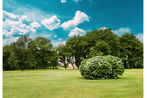 trimmed grass in city park. Lush, a Nature Photo by Our Amazing World