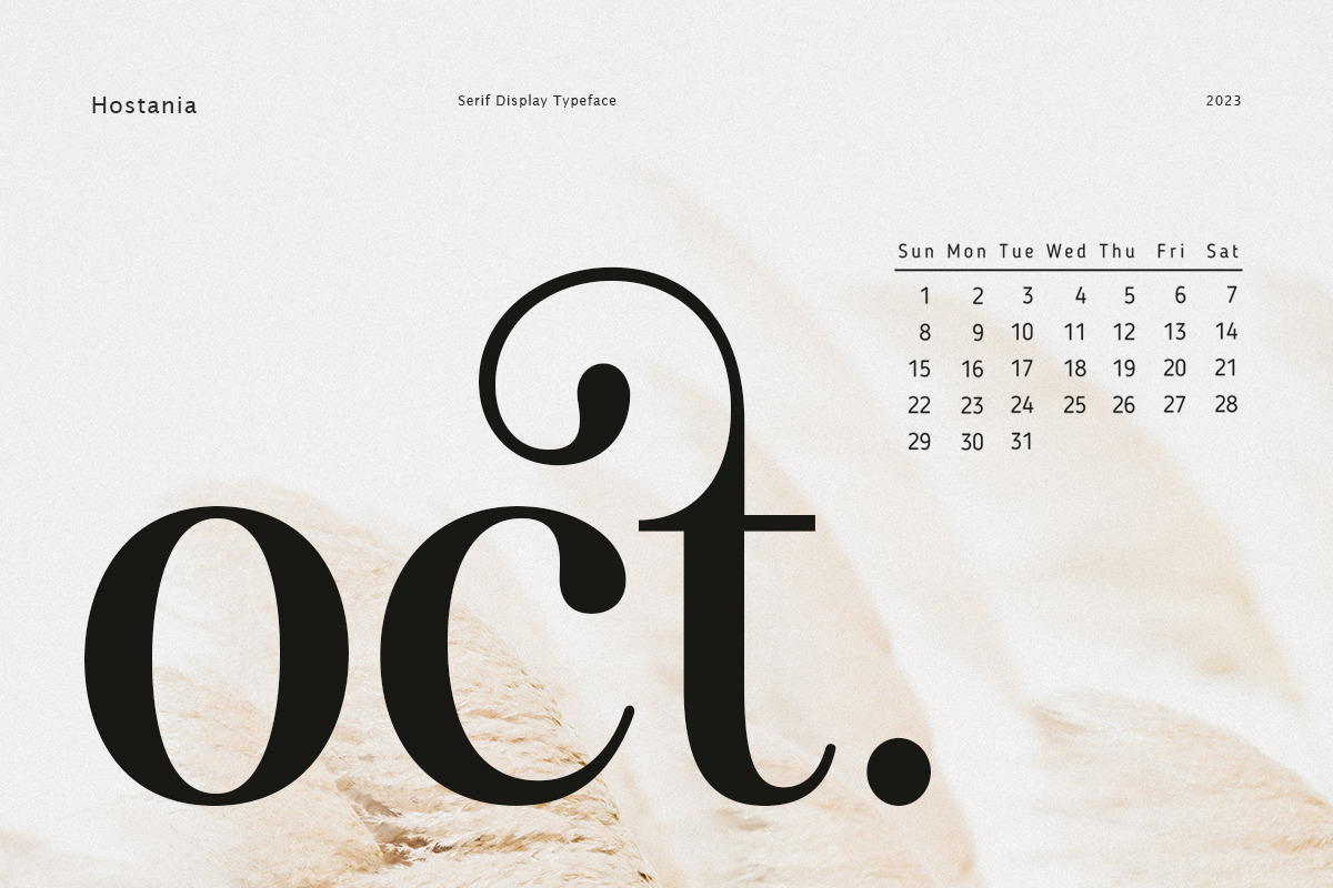 Hostania, a Serif Font by Attract Studio (Photo 12 of 12)