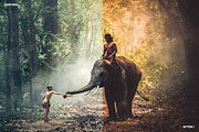 Pro Lightroom Presets, an Action Add-On by lawless graphic (Thumbnail 2 of 10)