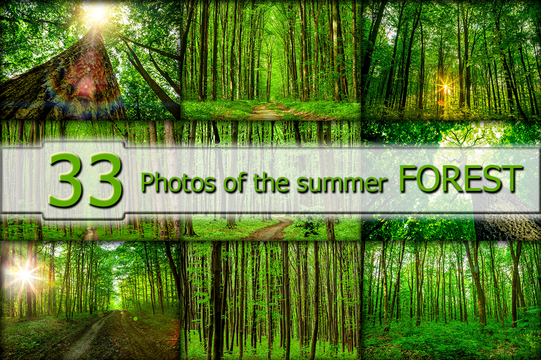 Summer forest featuring sunlight, green, and wood, a Nature Photo by vovan