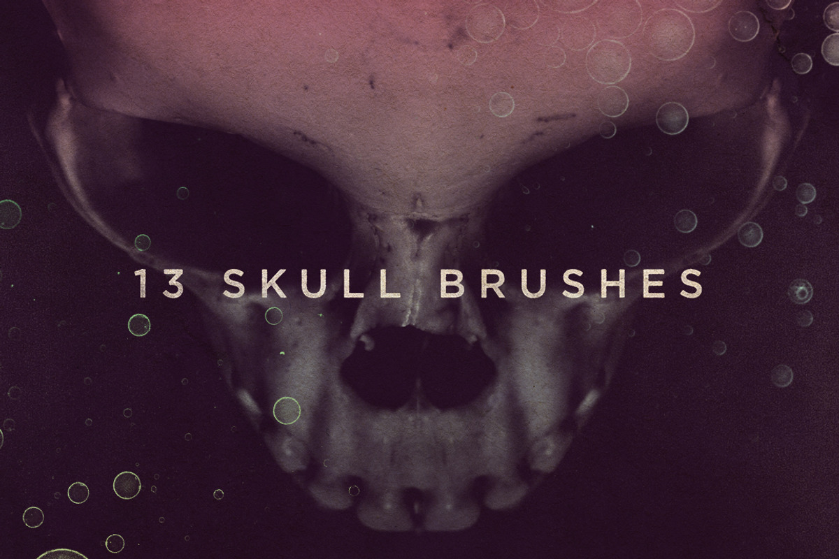 Skull Brushes, a Brush Add-On by RuleByArt (Photo 1 of 10)