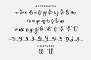 WinterDiary- Beauty Handwritten Font, a Script Font by AQR Studio (Thumbnail 2 of 9)