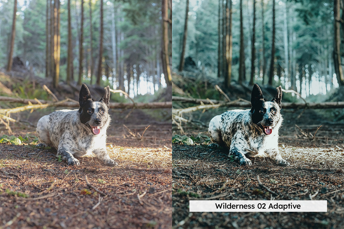 20 Overland Lightroom Presets LUTs, a Preset Add-On by SparkleStock (Photo 11 of 16)