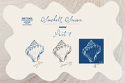 Seashell Season – Coastal Pack, an Object Graphic by Purple (Thumbnail 3 of 12)