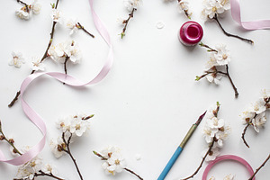 frame and apricot blossom