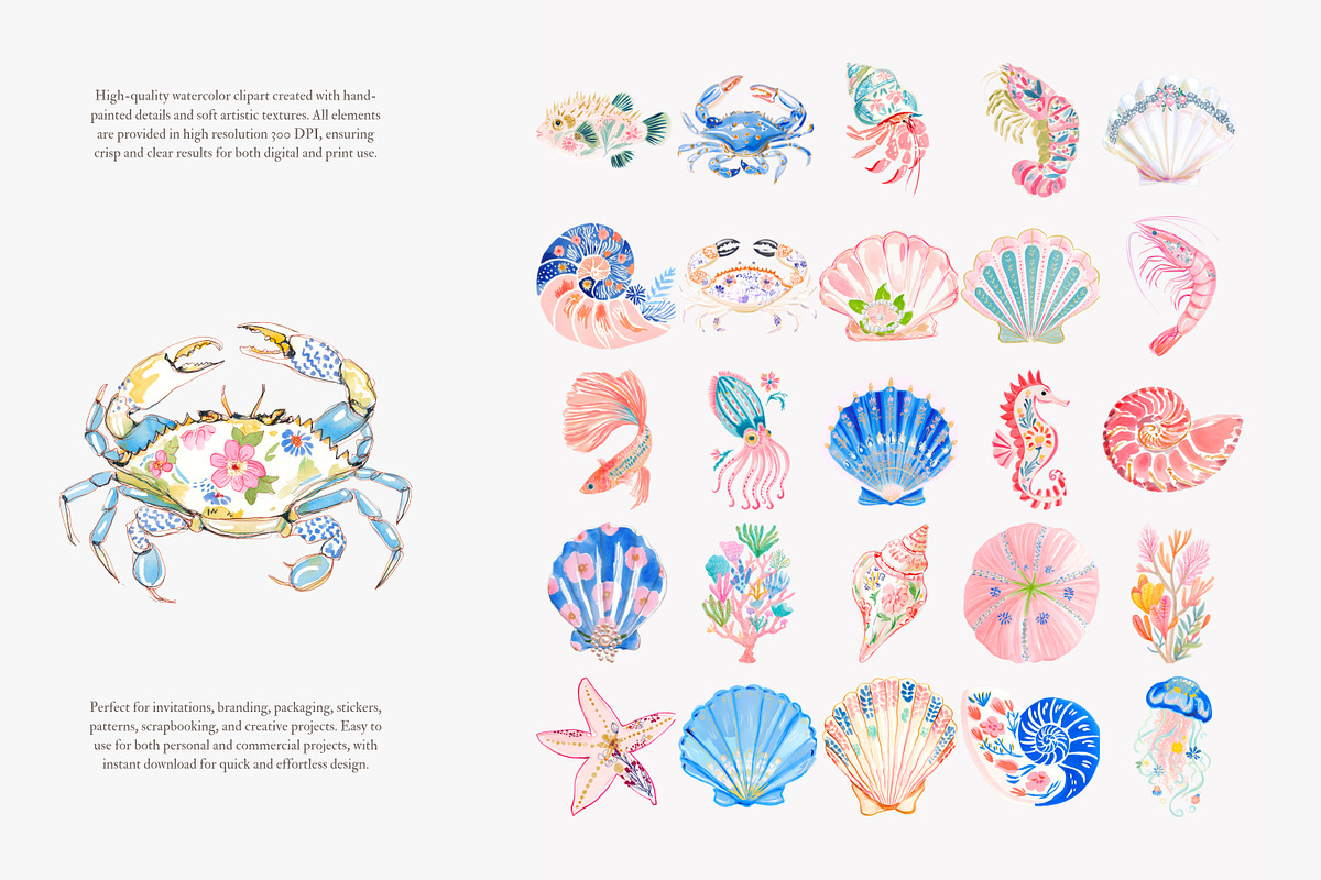Preppy coastal clipart set, a Decorative Illustration by Patishop Art (Photo 7 of 15)