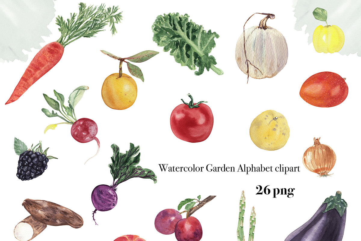 Fruits & vegetables garden alphabet, a Decorative Illustration by Visual Animal (Photo 2 of 13)