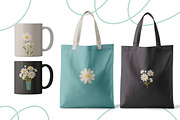 Cute Chamomile, Daisies Vector, a Graphic by so.ni.ka-store (Thumbnail 3 of 8)