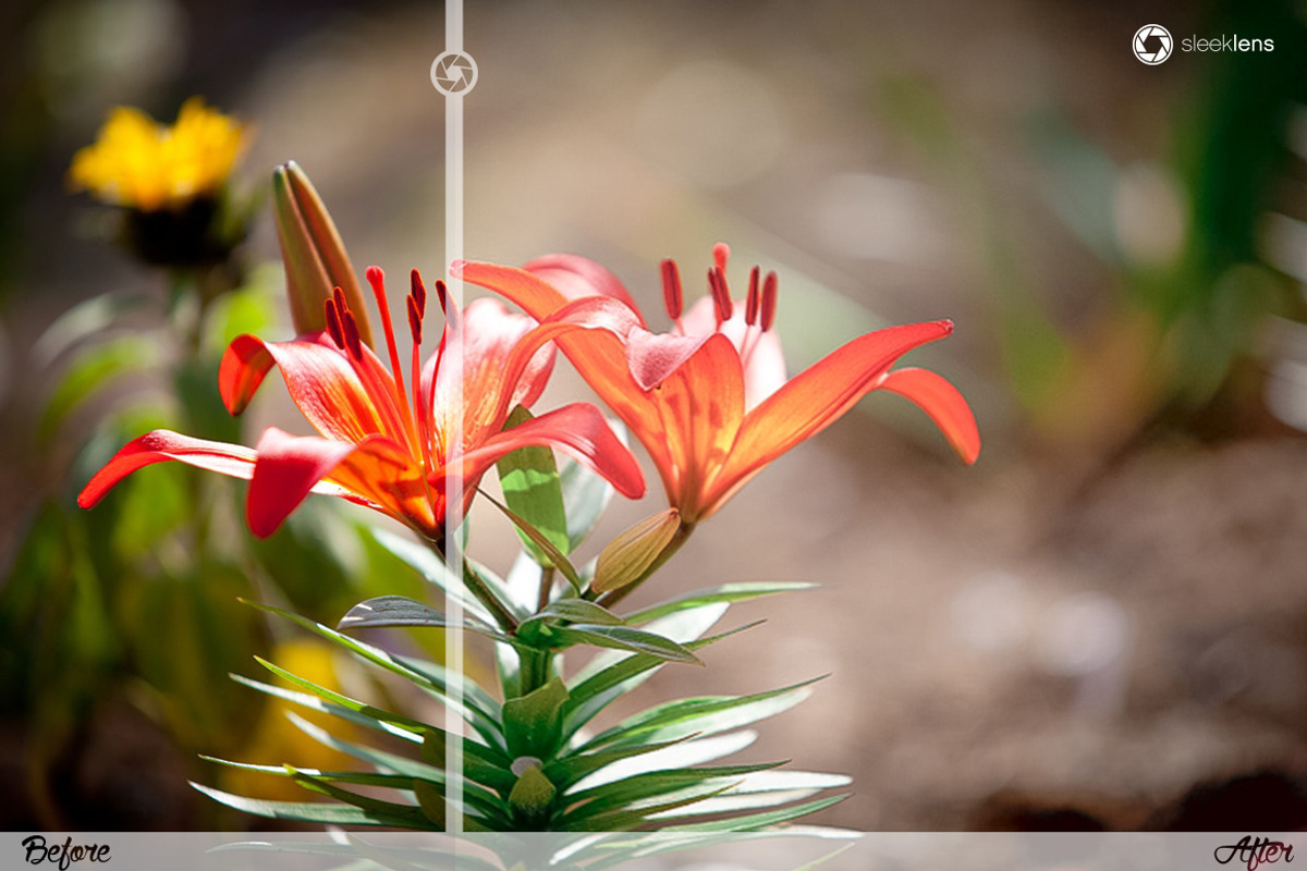 Pastel Elegance Lightroom Presets, an Action Add-On by Sleeklens (Photo 3 of 5)