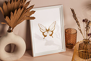 MOTHS & BUTTERFLIES illustration set, an Animal Illustration by Yuliia Lashevska (Thumbnail 4 of 13)