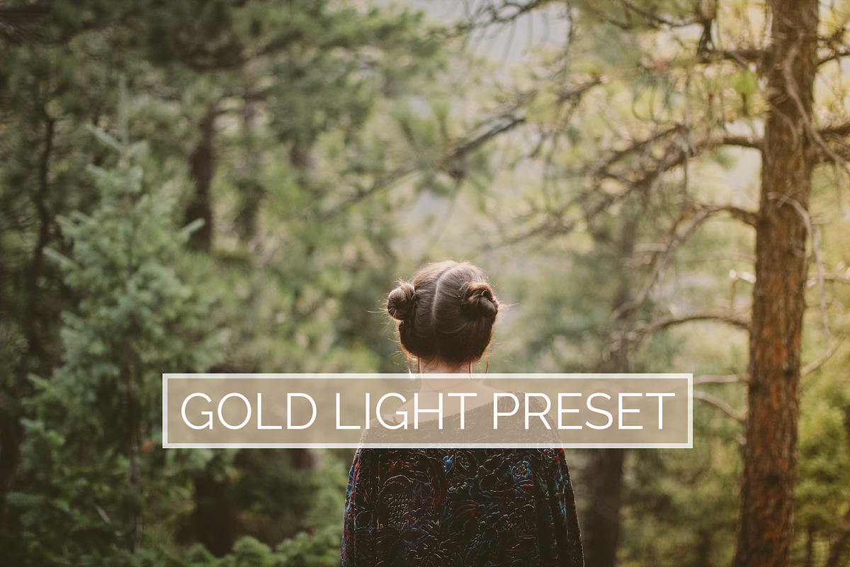 10 Gold Light Lightroom Presets, an Action Add-On by Winsome Effects & Co. (Photo 1 of 4)