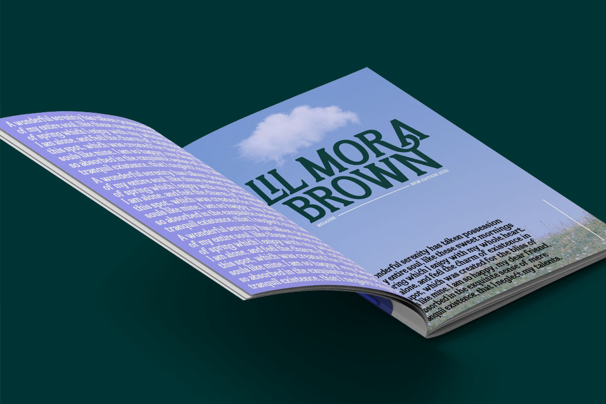 Flektura, a Serif Font by Propertype (Photo 4 of 10)