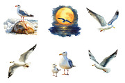 Watercolor Summer Seagulls Clipart, an Illustration by CreationArt (Thumbnail 2 of 5)