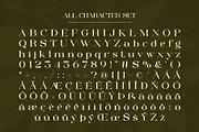 Molky Wolky – Elegant Display Serif, a Serif Font by Muflieart (Thumbnail 4 of 13)