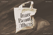 Valtine Rough, a Serif Font by Craft Supply Co. (Thumbnail 4 of 8)