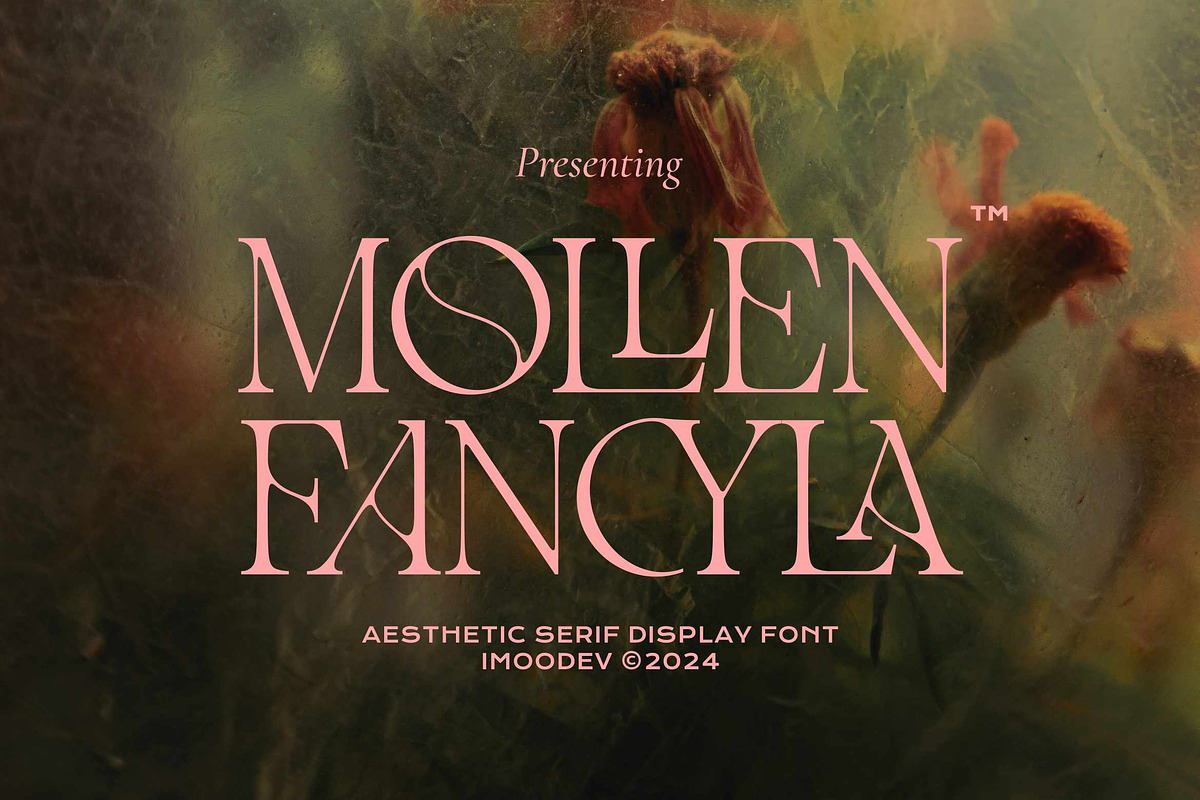 Mollen Fancyla Aesthetic Serif Font, a Serif Font by Imoodev (Photo 1 of 6)