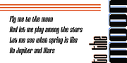 Shtozer, a Serif Font by Pepper Type (Thumbnail 7 of 14)