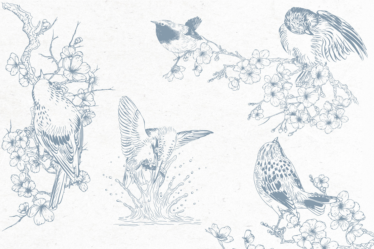 Line art Rustic Birds, an Animal Illustration by AW Studios
